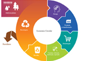 PE explica a importância e benefícios da Economia Circular